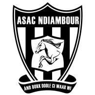 Logo of Association Sportive Artistique Et Culturelle Ndiambour