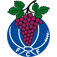 Logo of FUTEBOL CLUBE DE FONTELAS