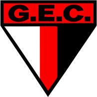 Logo of Guarani Esporte Clube (Arapoti)