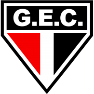Logo of Guarani Esporte Clube (Arapoti)