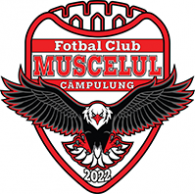 Logo of FC Campulung