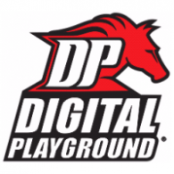 Digital Dp Playground Digital Dp Playground